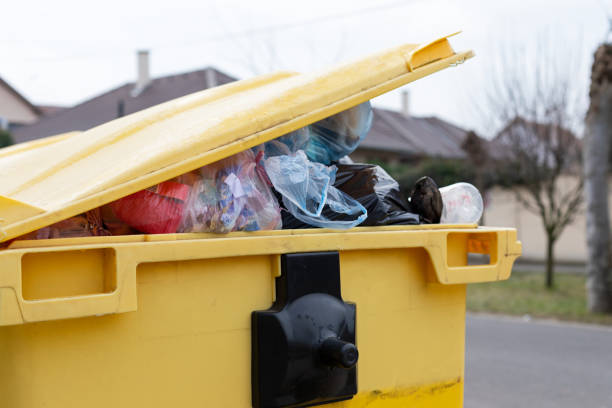 Best Moving and Downsizing Cleanouts  in Moraga, CA